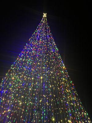 Christmas tree at the center of the park during the holidays