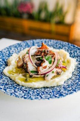 Pulpo Grillado made with sushi grade octopus, capers, red onion, roasted red pepper, and extra virgin olive oil on a bed of potato purée.