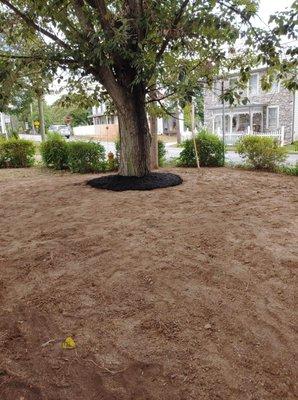 After laying mulch and top soil