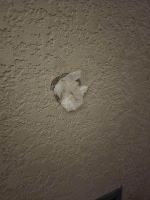 Toilet paper wadded up behind the bathroom door in a hole? Possibly to stop the door handle from hitting the wall.