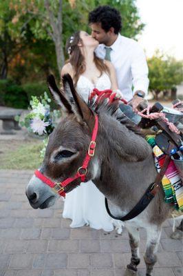 The "beer burro" for the guests while we were away taking pictures