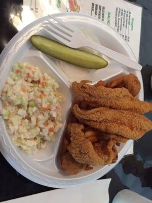 Fish fillet with side of coleslaw and Cajun fries