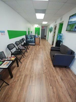 Marijuana Doctor Clearwater-Palm Harbor medical cannabis clinic interior