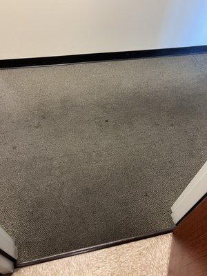 Carpet throughout exam room hall