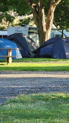 No tents allowed on the grass? Well, it doesn't apply to everyone I guess...