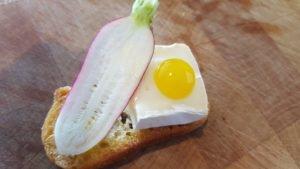 Brie, Orange Gel and Radish