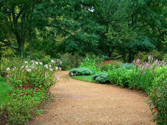 Shrub & tree feeding