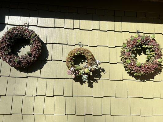 Succulent wreath