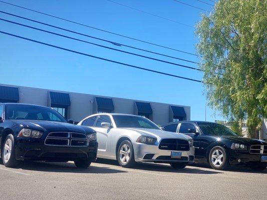 Epik Rental Fleet. Cash Car Rentals Las Vegas