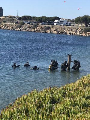 Scuba certification via SLO Ocean Currents at Morro Bay