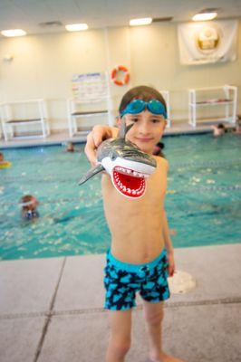 Pool, pool toys, shark, goggles, swimmer