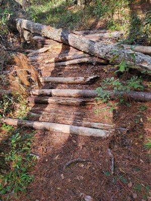 Here is the woodpile near the farthest point in the trail.