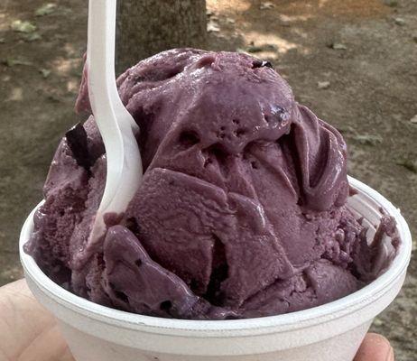 Small black raspberry chocolate chip frozen yogurt which was very creamy