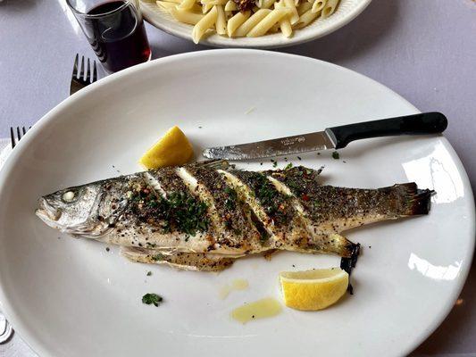 Branzino