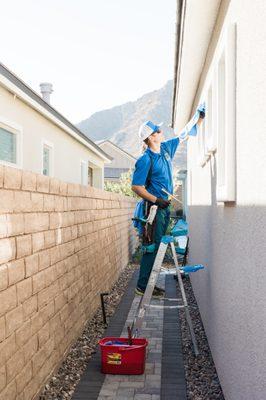 Window Cleaning