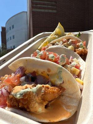 Two fish one shrimp taco at the Fuego taco food truck