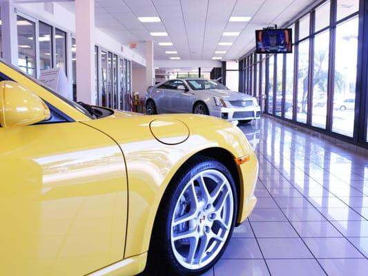 Porsche Boxster and CTS-V Coupe enjoying some TV