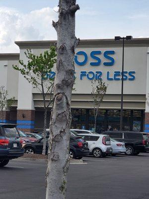 Ross Dress for Less