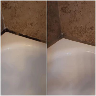 Bathroom Mold & Mildew Removal