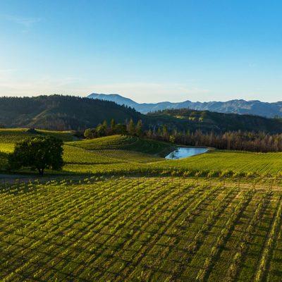 Pride Mountain Vineyards Toward Mount St. Helena