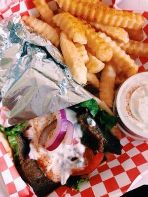 Gyro and seasoned fries!