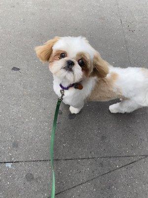 Happy Cody after his groom!