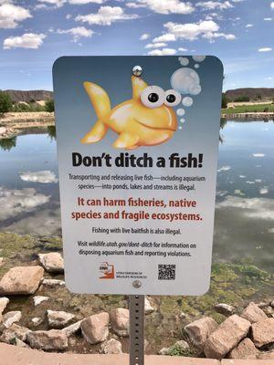 Don't ditch a fish! @ Sullivan Virgin River Soccer Park - 5/2/17