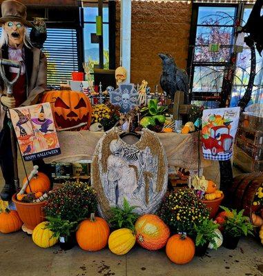 New Garden Center display features our Halloween decor, live plants, and yard art.