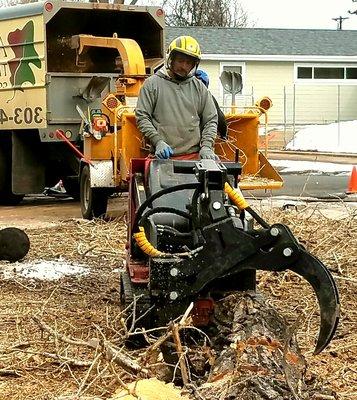 Melesio uses the Dingo to move material. Modern tools help efficiency and extend the Arborists' career