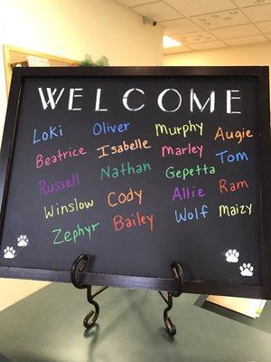 The welcome board with all the days patients names written on it is such a sweet and inviting touch. Oliver and I really enjoyed it!