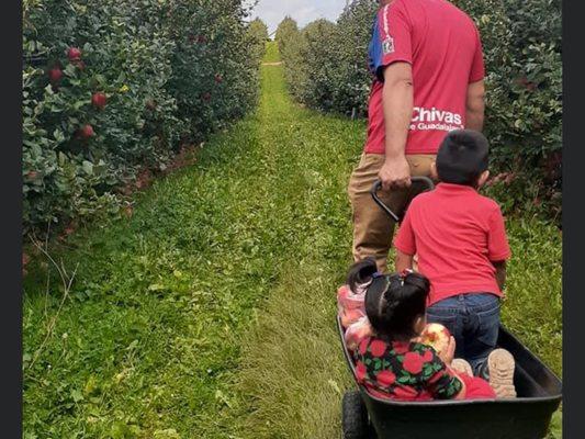 Build memories with our UPICK experience at Maple Ridge Orchard.