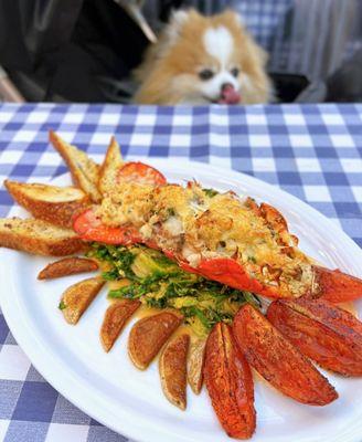 Lobster Thermidor | $46 (5-6 tables in the parklet)