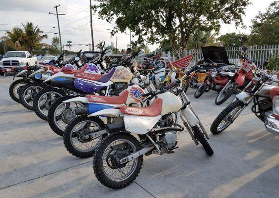 Great selection of bikes