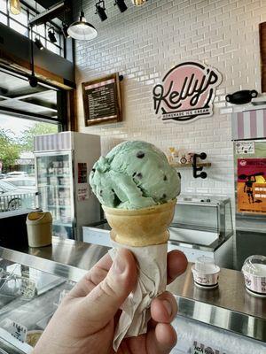 Mint Chocolate Chip single scoop cake cone