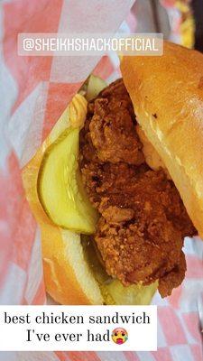 chicken sandwich