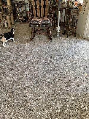 Living room carpet