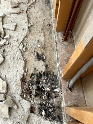 Significant mold growth can grow under concrete subfloors if not dried out thoroughly.