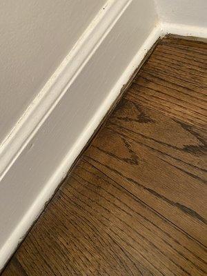 Stain all over the trim! Unacceptable from a professional flooring company.