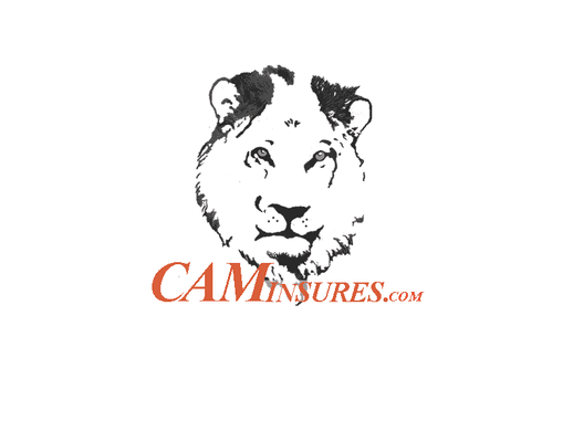 CAMInsures.com