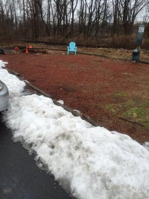 Dog walking area for pre/post playtime