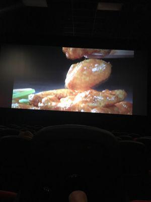 Theater screen