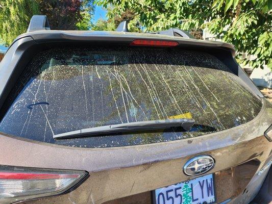 This is how the back of my car looked after the wash.