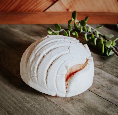 Vegan Vanilla Bean Concha (Mexican sweet bread)