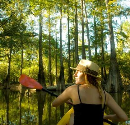 Kayak Swamp Tours in New Orleans