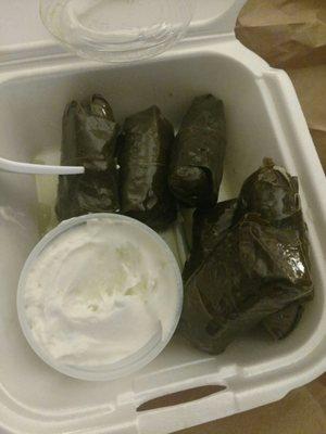 "Dolma" - stuffed grape leaves with tzatziki dipping sauce. My favorite!