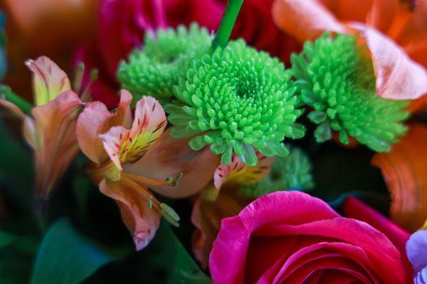 Floral arrangement