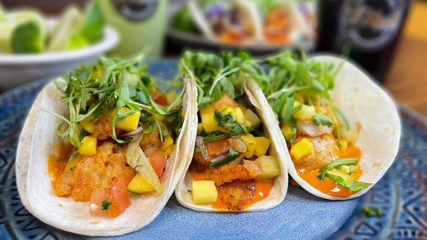 FISH TACOS