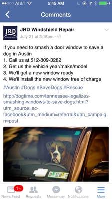 Anyone who loves dogs gets my vote!   Missing step 5:  Help find dog a new owner. Missing Step 6:  Use JRD for all future windshield needs.