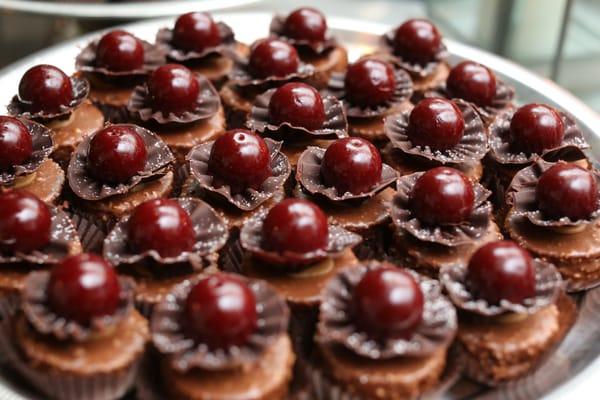 Hazelnut Cake with Chocolate Mousse