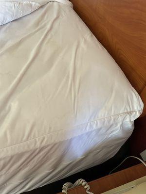 The Beds have mattress covers to prevent bed bugs.